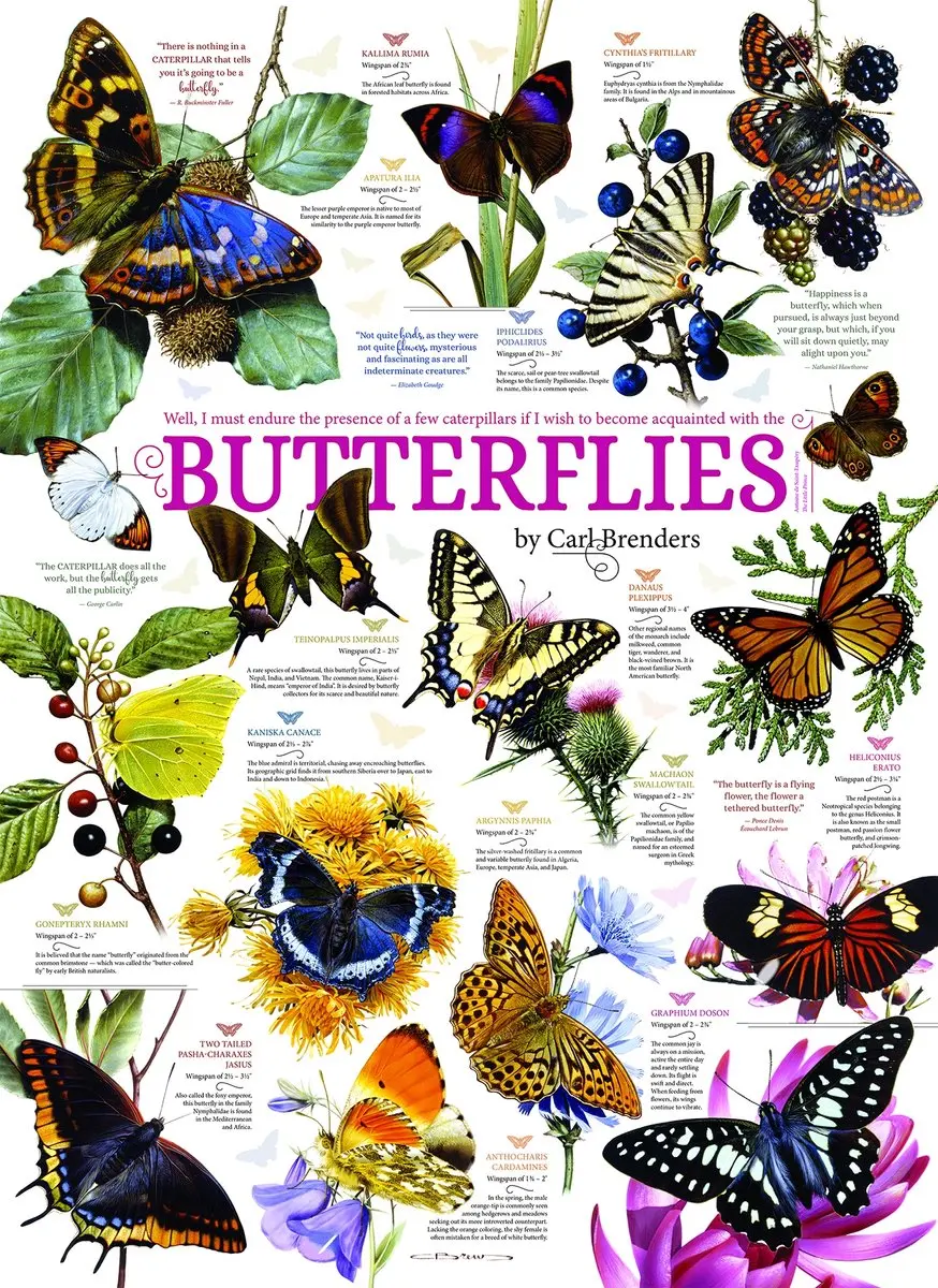 Cobble Hill Butterfly Collection Puzzel 1000 Stuks - Meerkleurig