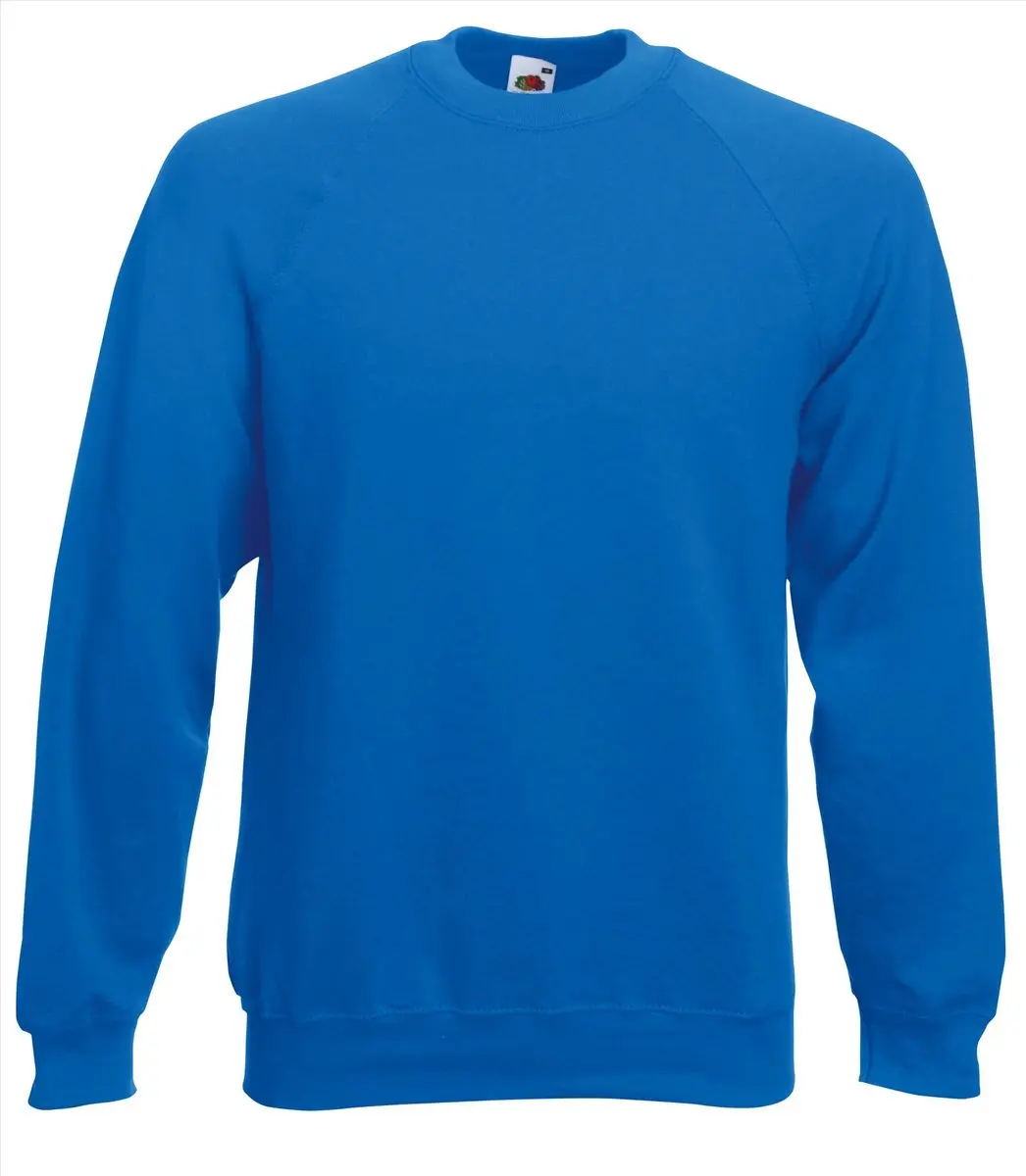 Fruit of the Loom sweater / sweatshirt
