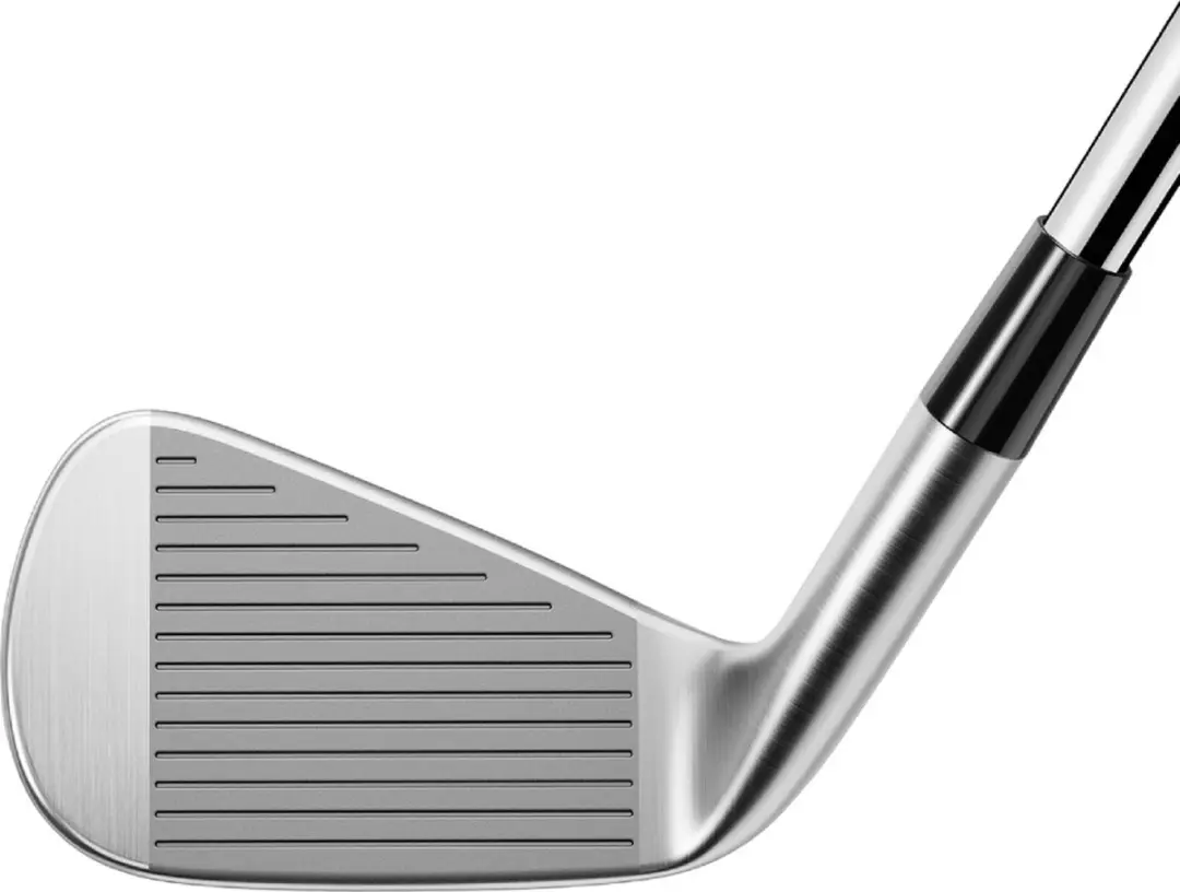 TaylorMade P-770 IJzers 4-PW - Stiff - Zilver