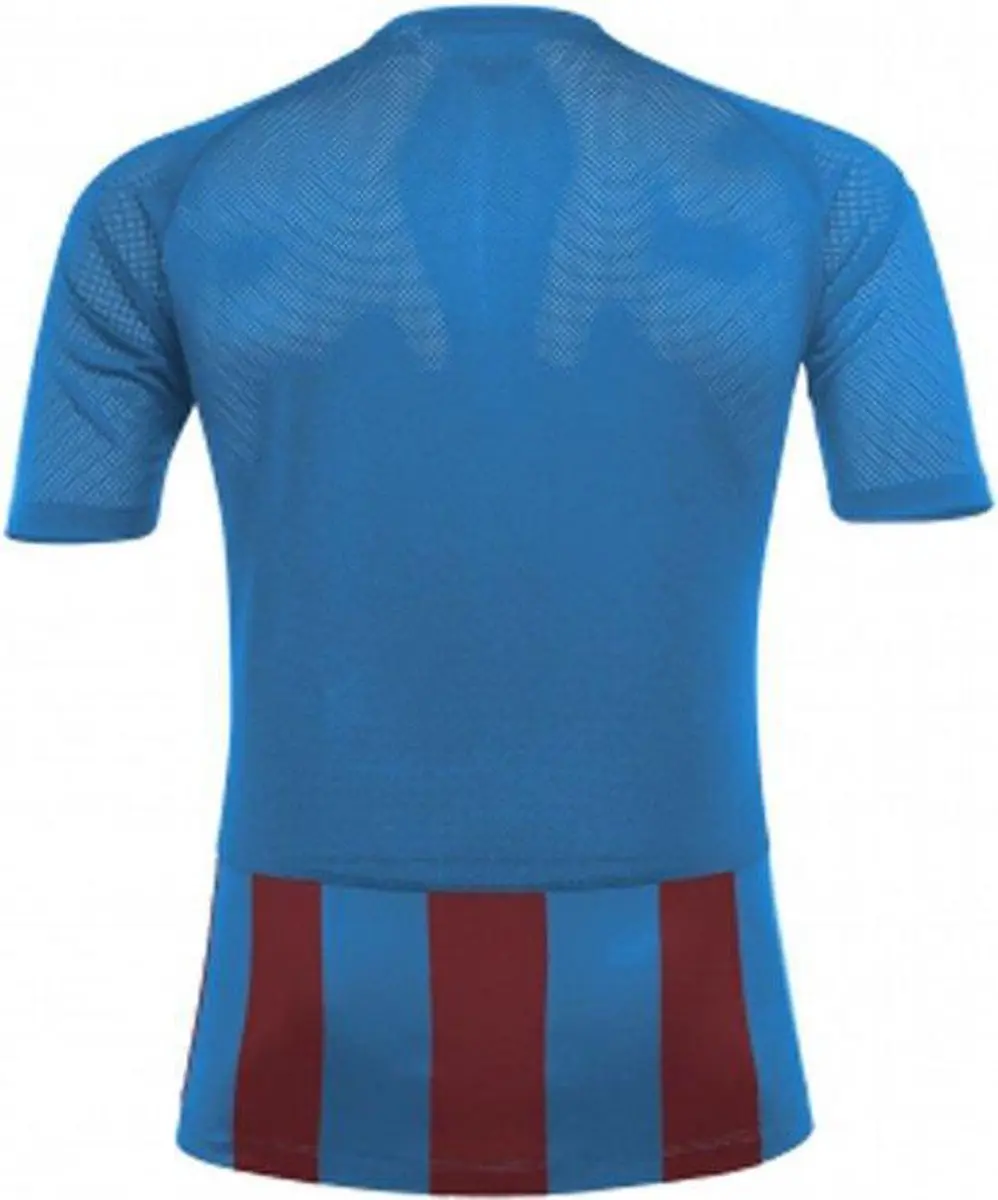 Acerbis Sports Johan Striped Jersey - Royal/Bordeaux L
