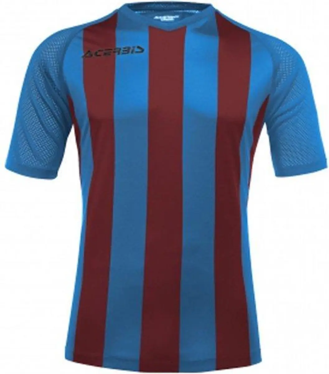Acerbis Sports JOHAN STRIPED S/SL JERSEY (Sportshirt) ROYAL BLUE/BORDEAUX L