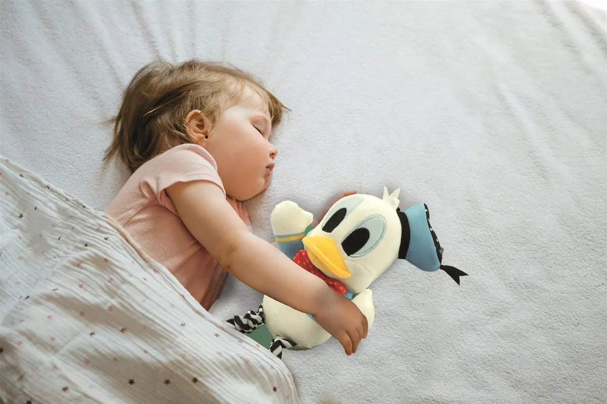 Clementoni Donald Duck Knuffel Rammelaar - Multicolor
