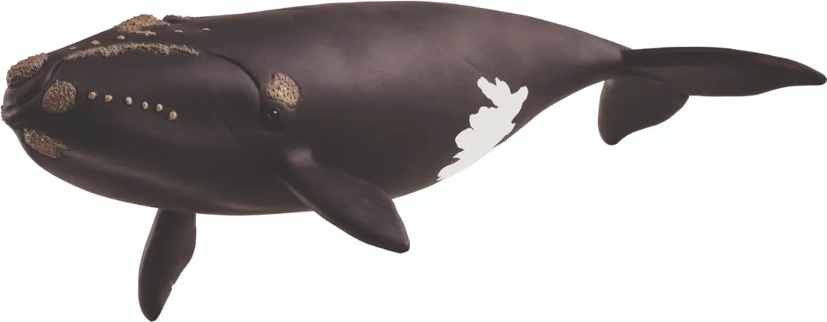 Schleich Noordkaper 14878 - Multicolor
