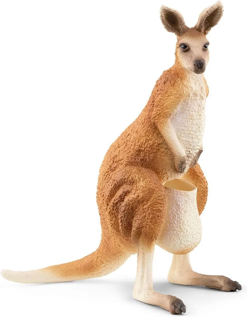 Schleich WILD LIFE Outback Avonturen Speelfigurenset 42623 - Multikleuren