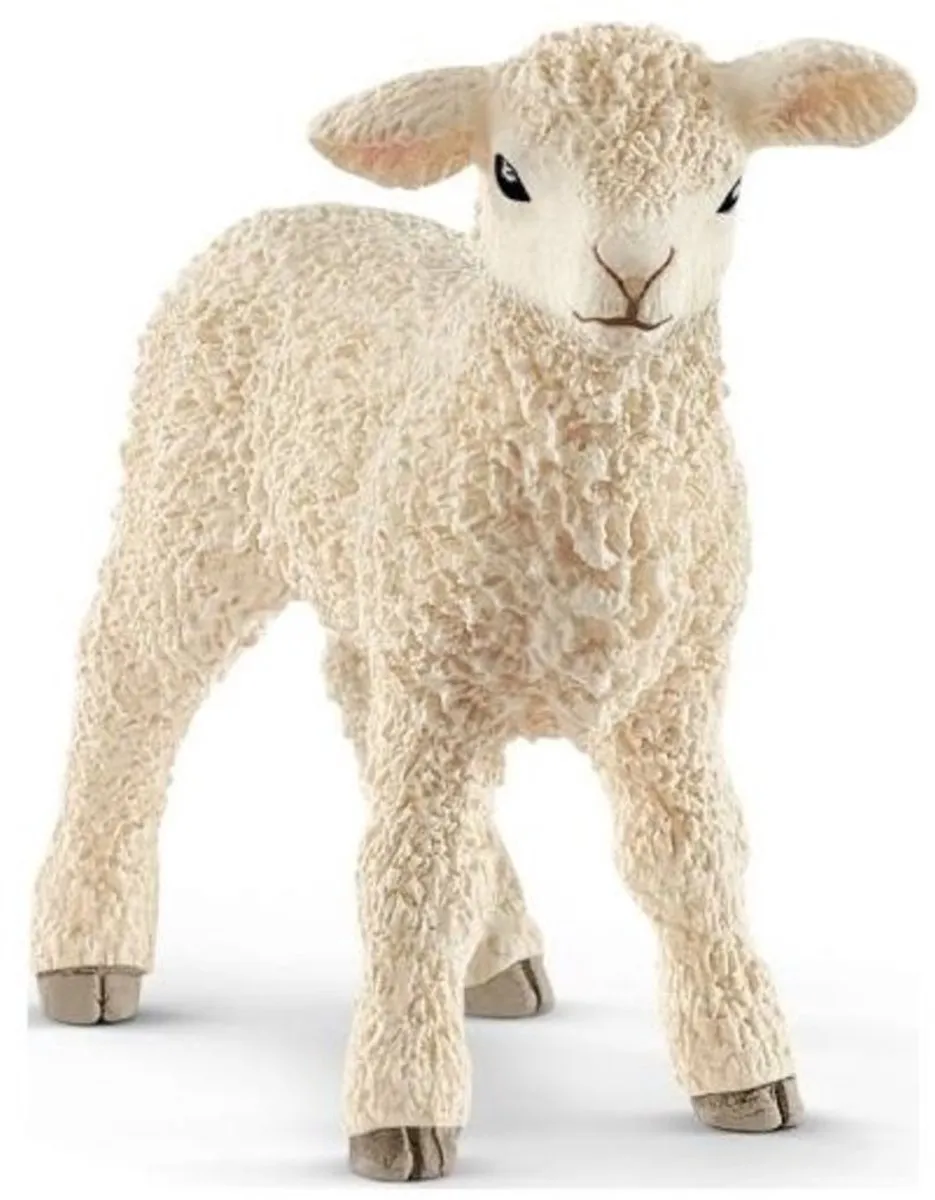 Schleich Lam 13883 - 5,3x4,8x2,4cm