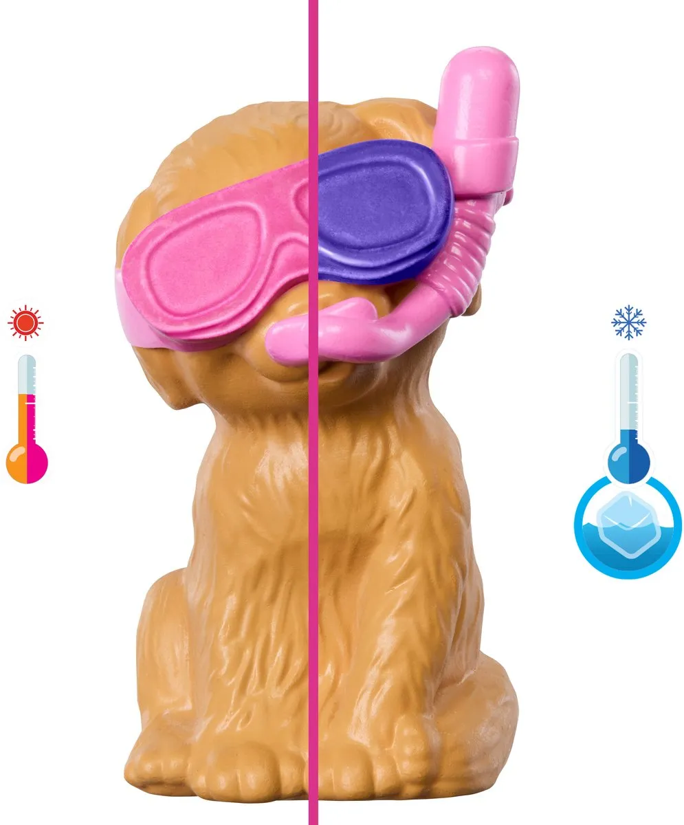 Barbie Zwemfeestje voor Puppy's JBF35 Speelset - Glijbaan & Hartzwembad