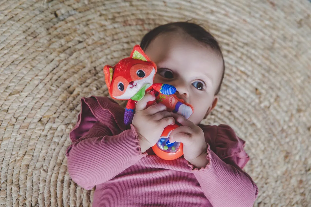 VTech Dierenvriendjes Rammelaar Vos