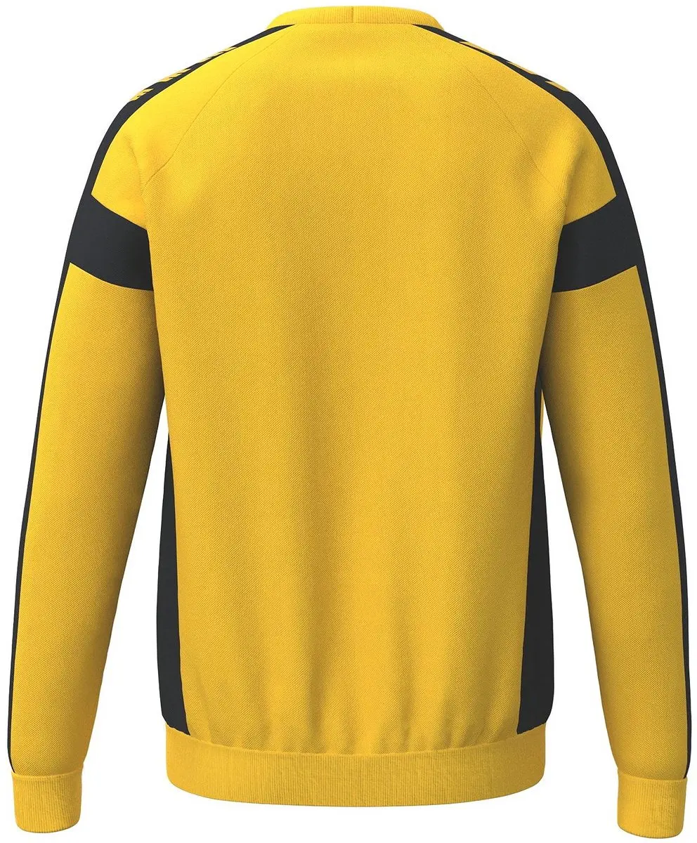 Erima CMpt 3 Wings Keepersshirt Handbal Heren - Geel/Zwart L