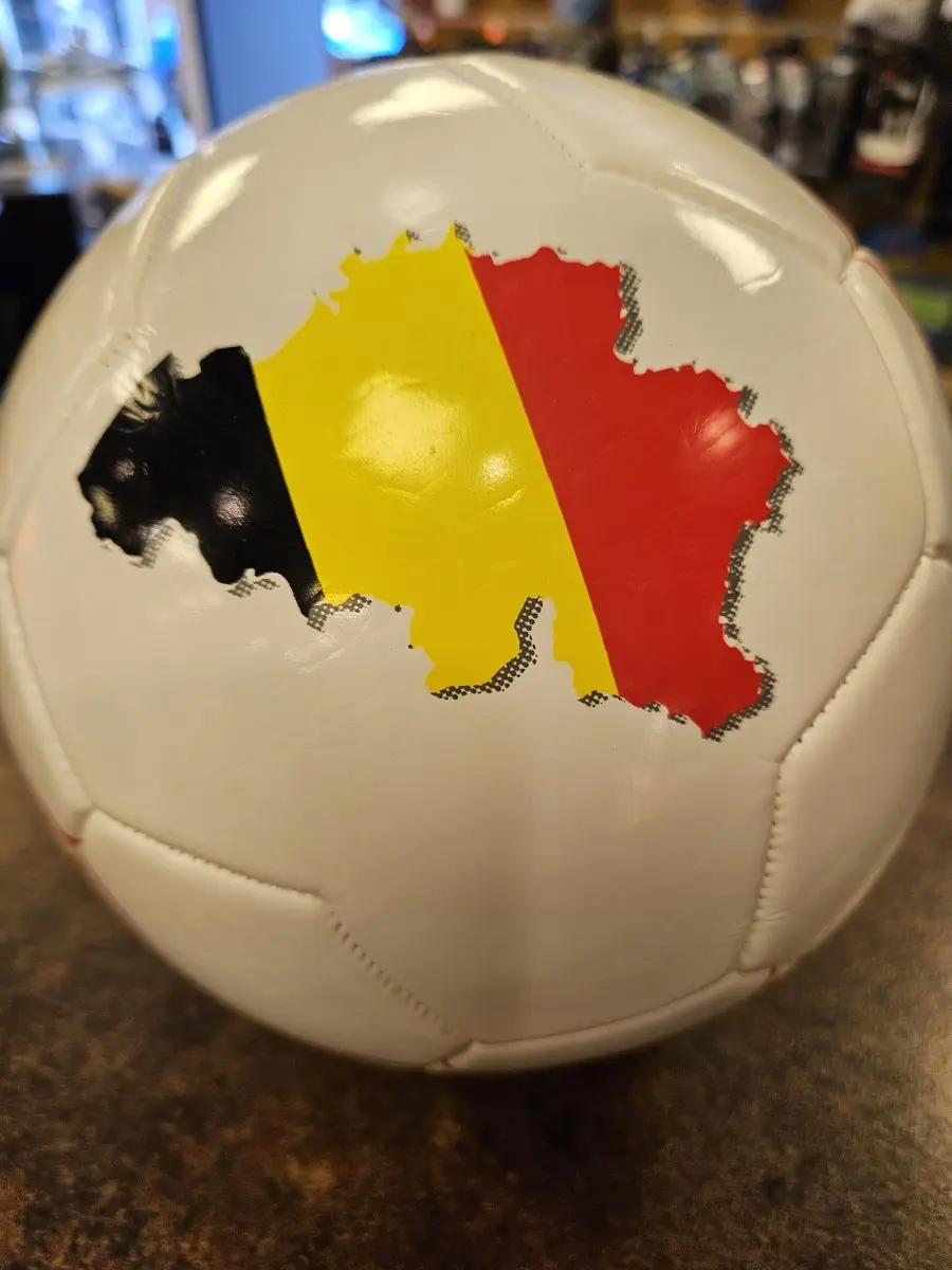 Erima Euro 2024 Belgium Trainingsbal