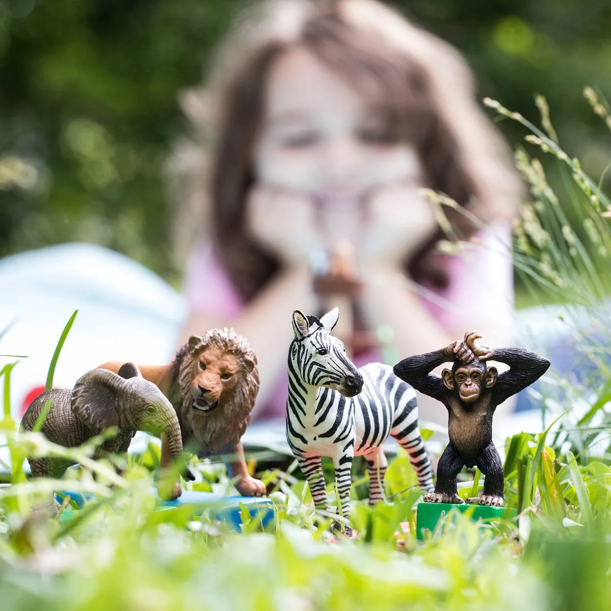 Schleich Wild Life Starterset Speelfiguur 42387 - Multikleur