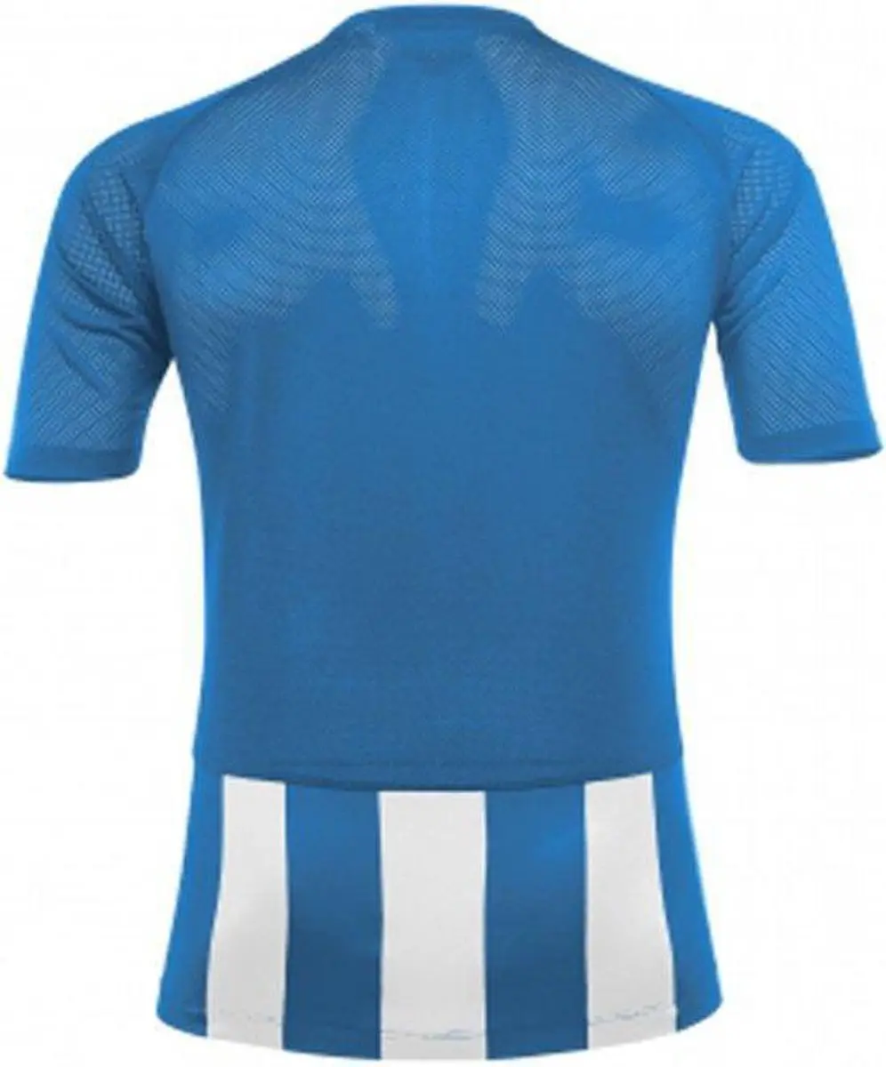 Acerbis Sports Johan Striped Jersey Royal/White - 134