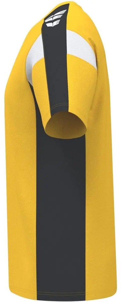 Erima Celebrate 125 T-shirt Heren - Zwart/Geel - XXXL