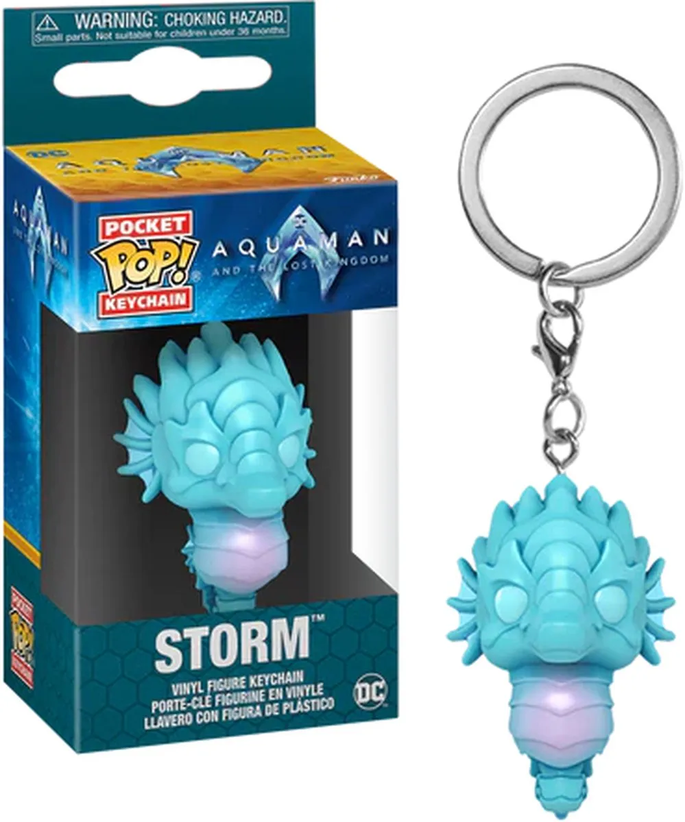 Funko Pocket Pop! DC Aquaman Storm Sleutelhanger - Multi