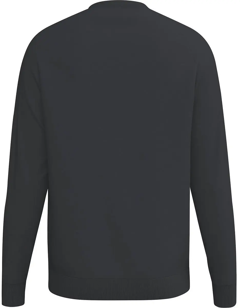 Erima Cmpt Wings Heren Sweatshirt - S - Zwart