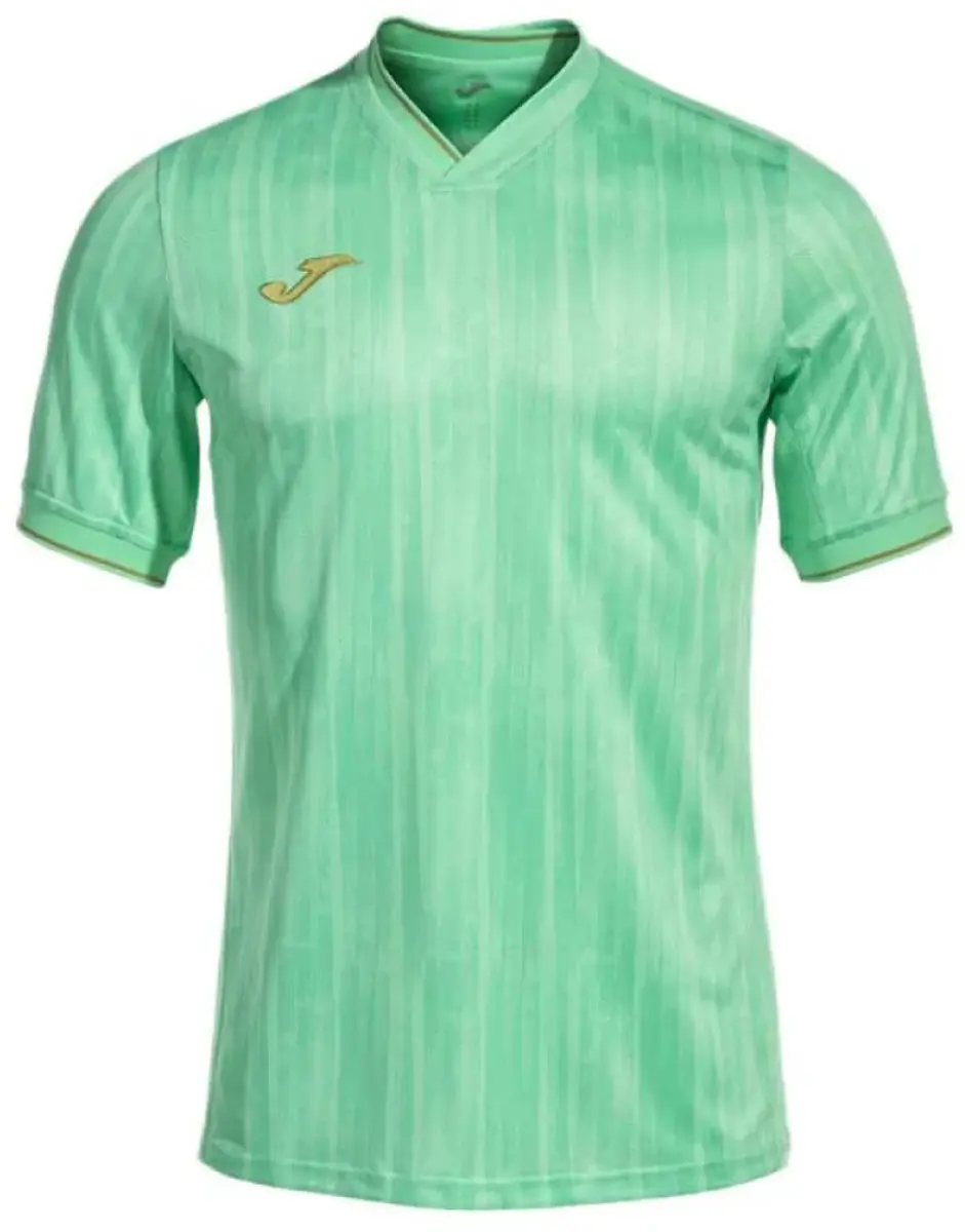 Joma Gold Vi T-shirt Met Korte Mouwen Groen 2XL Man