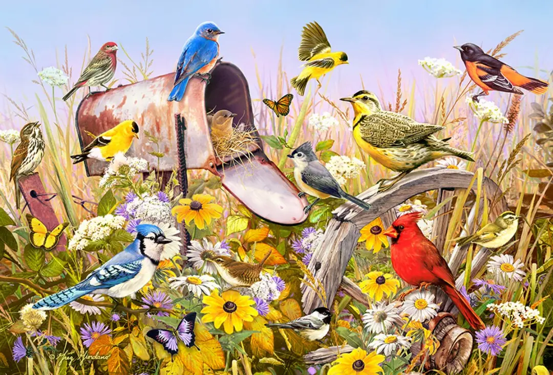 Cobble Hill Natuurafbeelding Puzzel 2000 Stuks - Meerkleurig