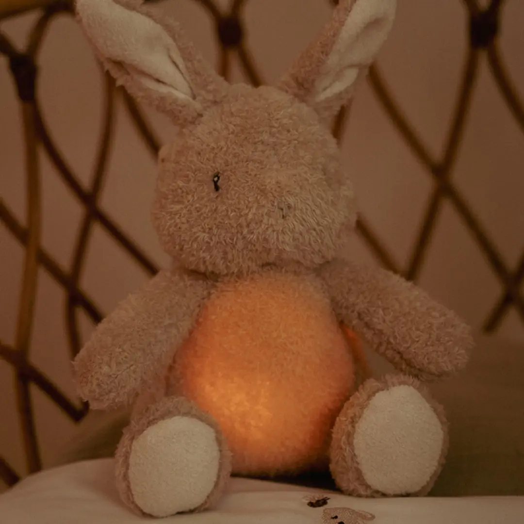 Little Dutch Newborn Naturals Knuffelkonijn Licht & Geluid - Bruin