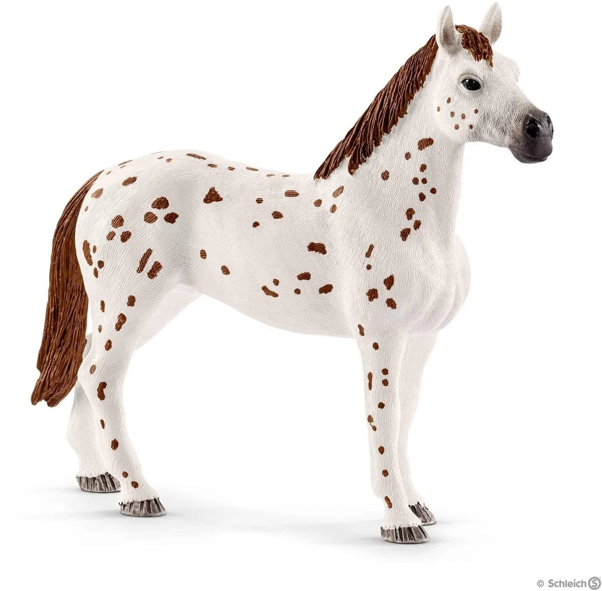 Schleich Horse Club Lisa's Toernooitraining 42433 - 17 Onderdelen - Multi