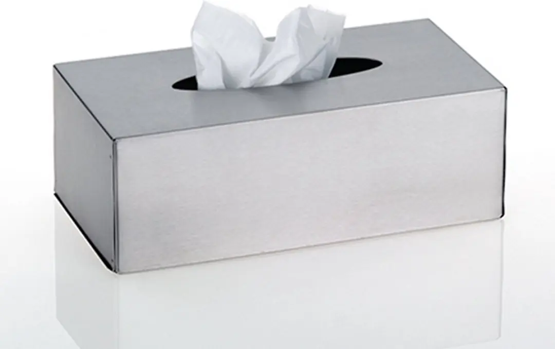 Kela Clean Tissuebox met Wandbevestiging - Zilver - afbeelding 4 van 6