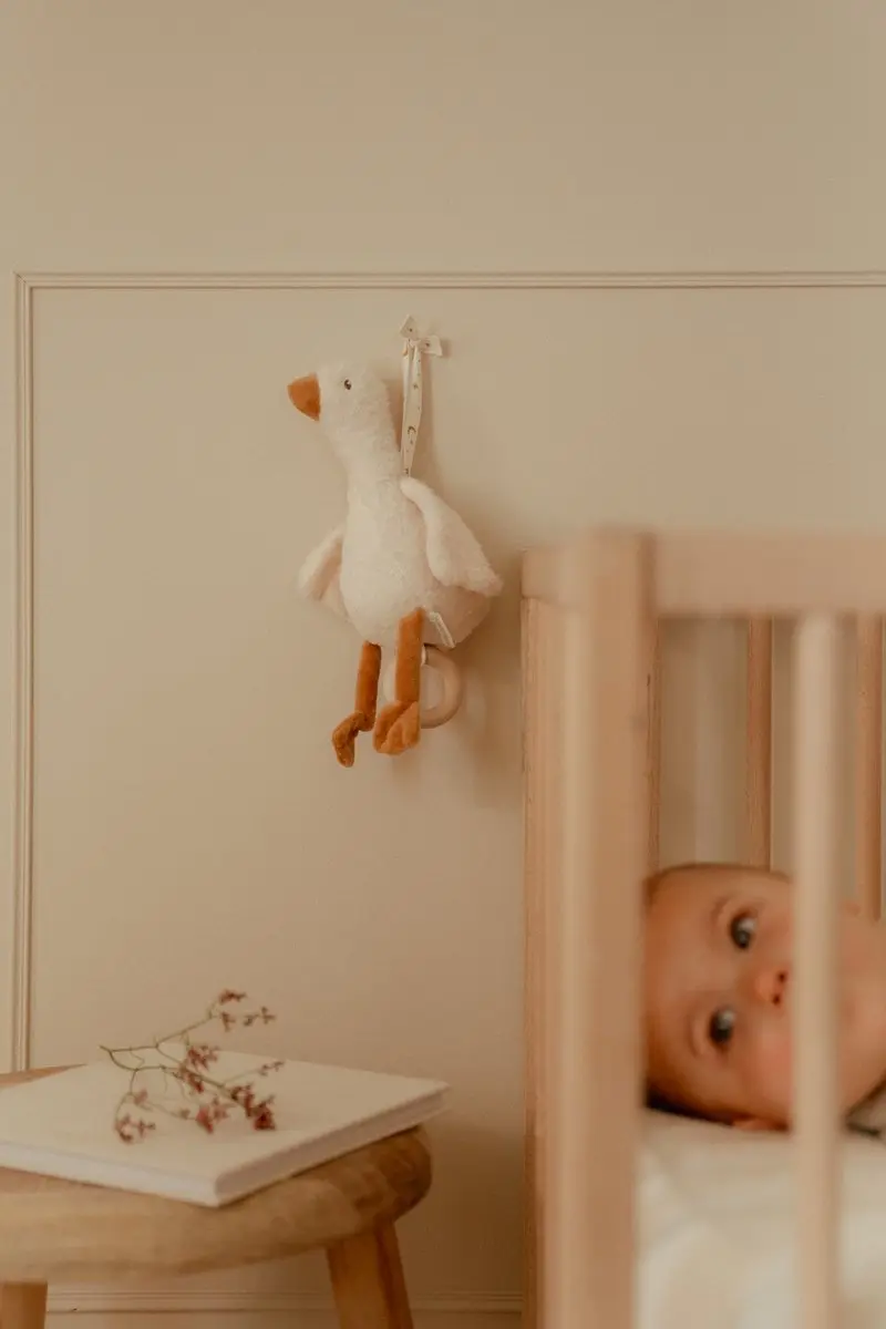 Little Dutch Newborn Naturals Muziekdoosje Little Goose - Wit
