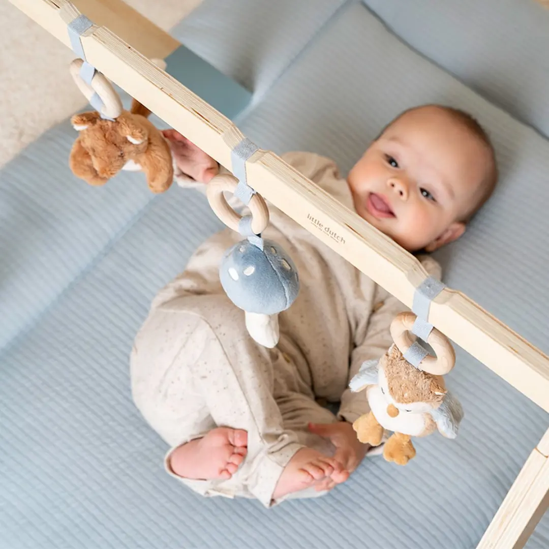 Little Dutch Babygym Forest Friends - 3 Speelelementen - Multicolor