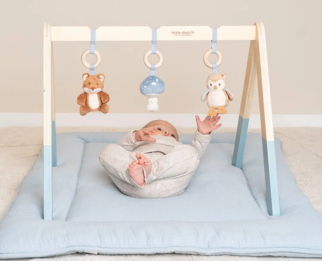 Little Dutch Babygym Forest Friends - 3 Speelelementen - Multicolor