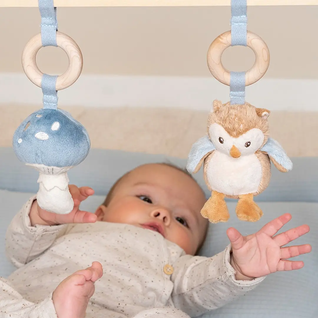 Little Dutch Babygym Forest Friends - 3 Speelelementen - Multicolor
