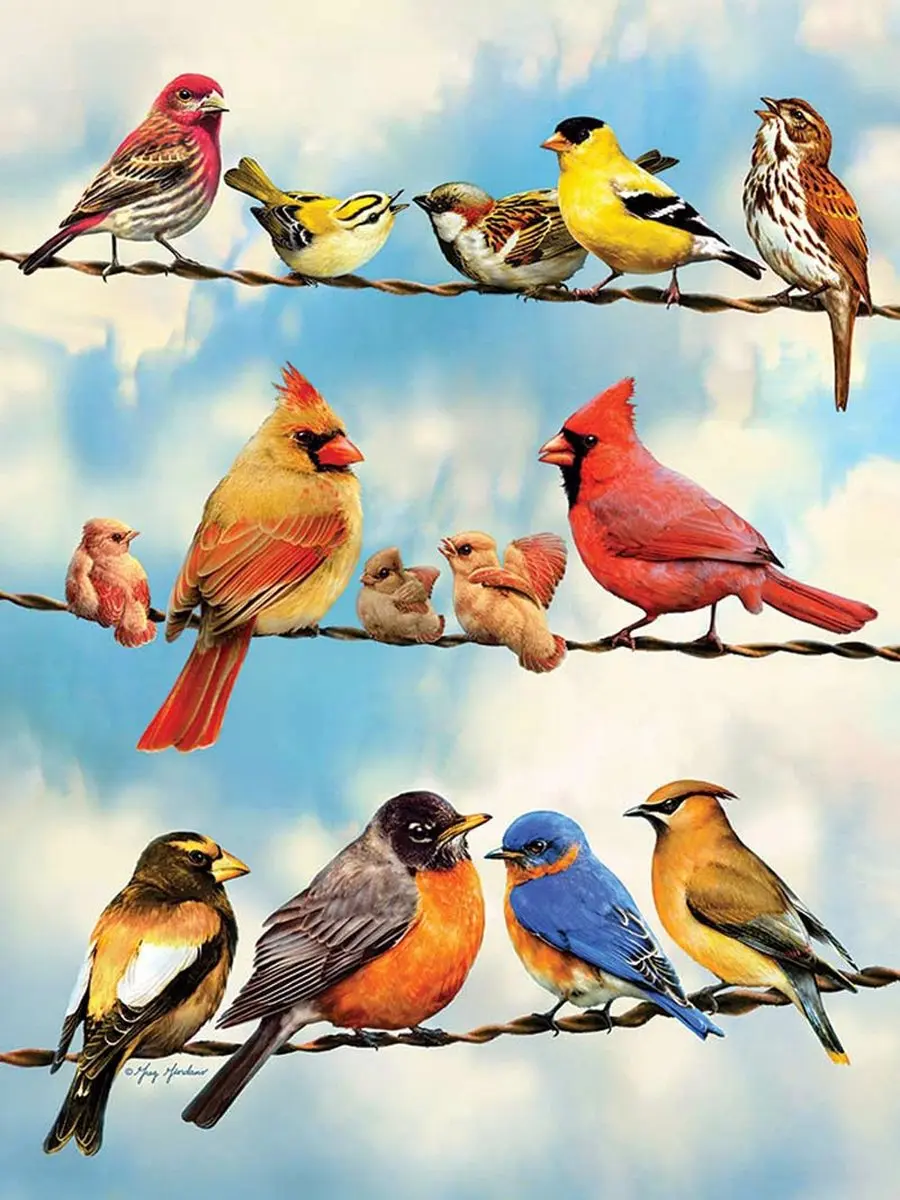 Cobble Hill Vogels in de Natuur Puzzel 500 Stuks - Meerkleurig