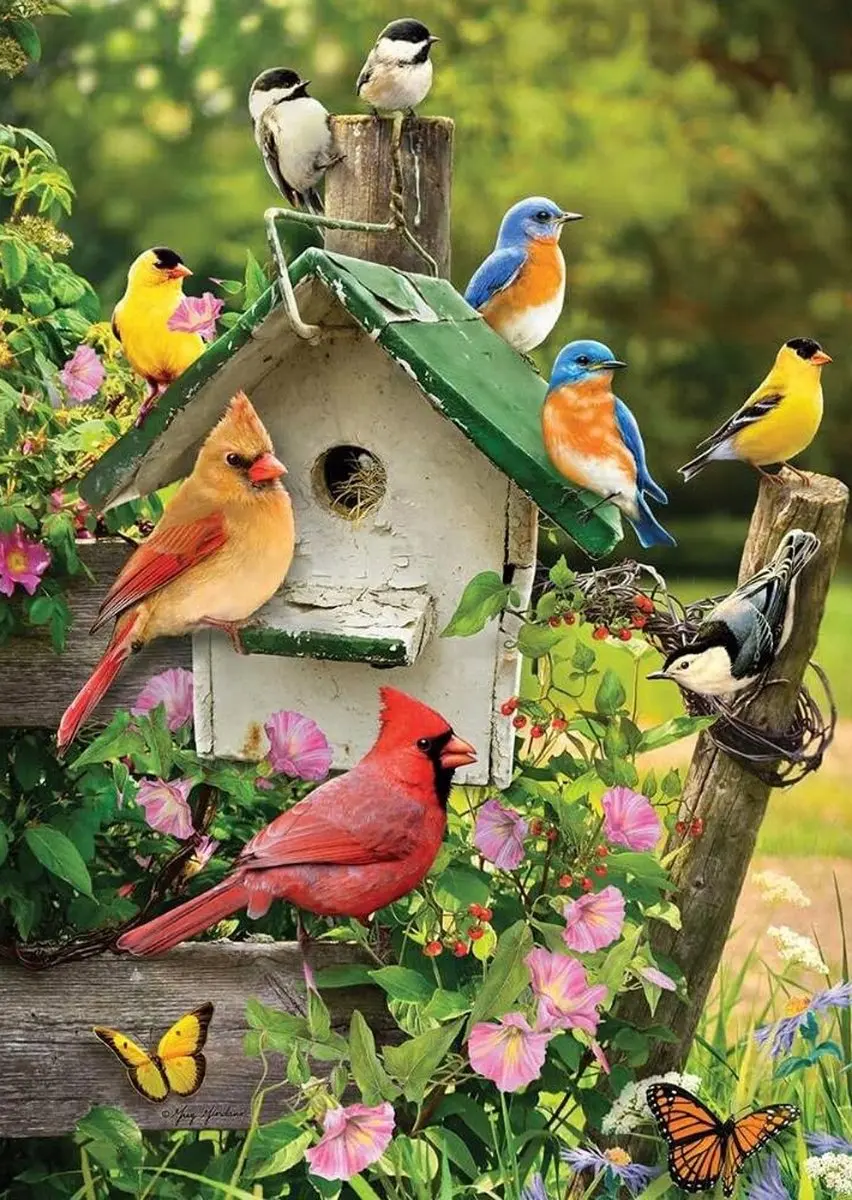 Cobble Hill Zomerhuisje voor Vogels Puzzel 500 Stukken Meerkleurig - afbeelding 2 van 2