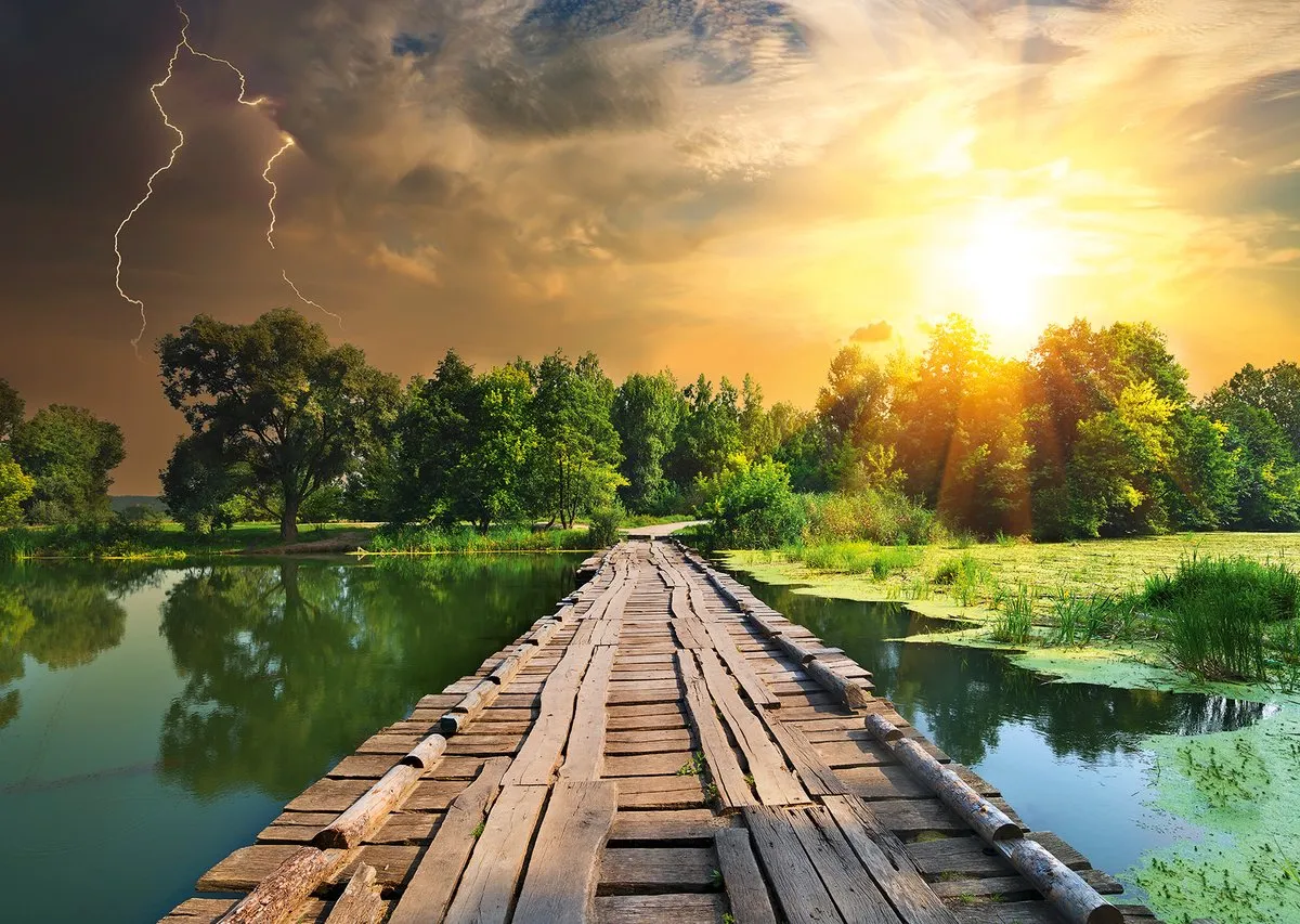 Ravensburger Nature Edition Mystisch Licht Puzzel 3100 Stuks