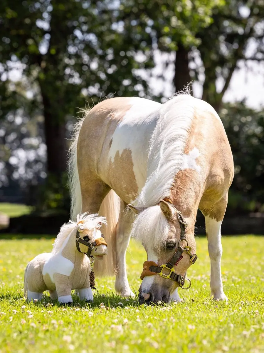 LeMieux Mini Toy Pony Sam