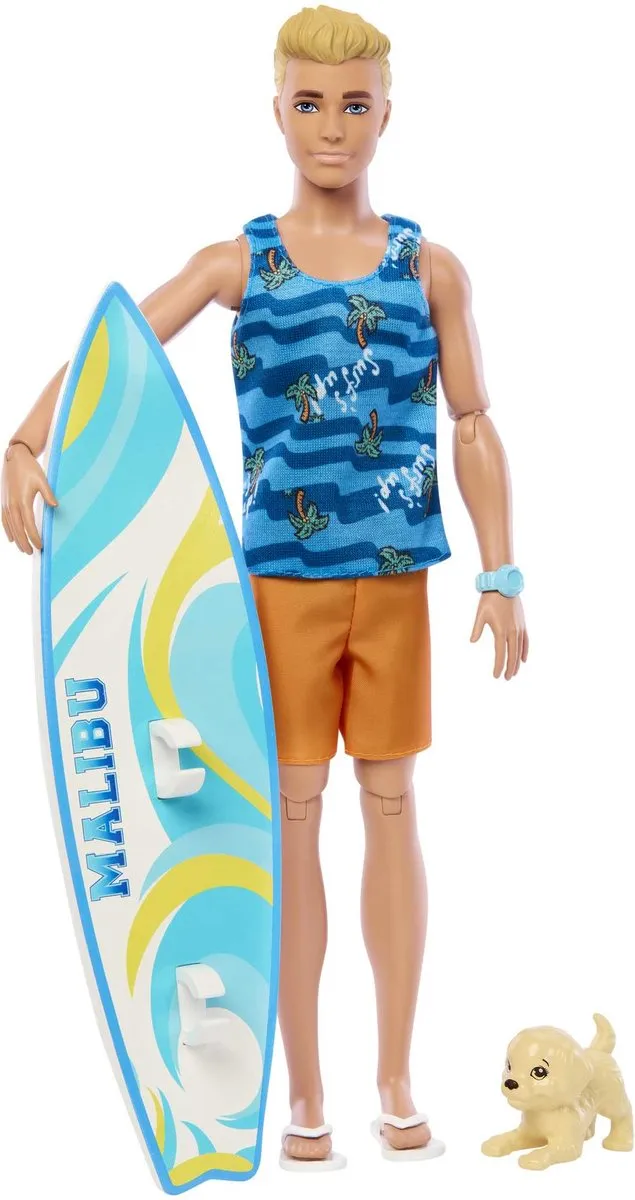 Mattel BRB Ken Surf Doll HPT50
