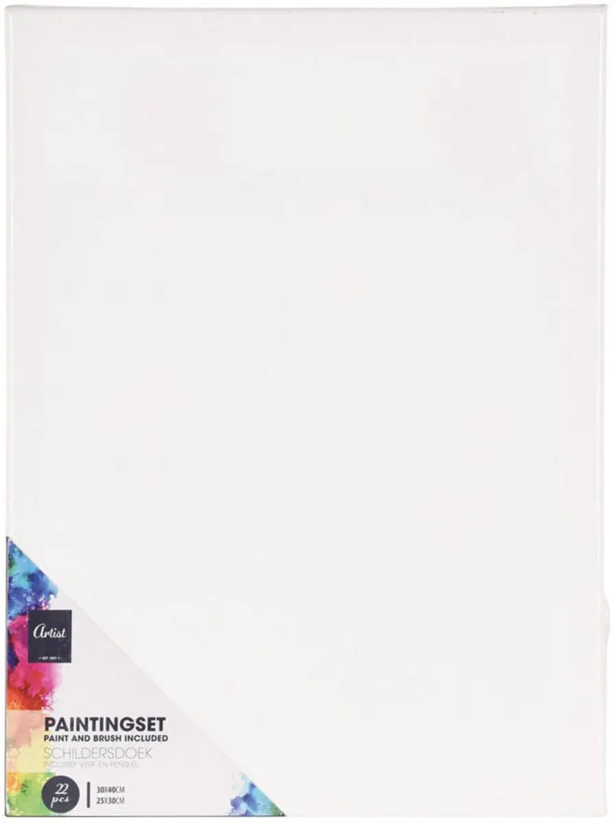 Schilderset canvas verf penselen acrylverf creatief schilderen set.