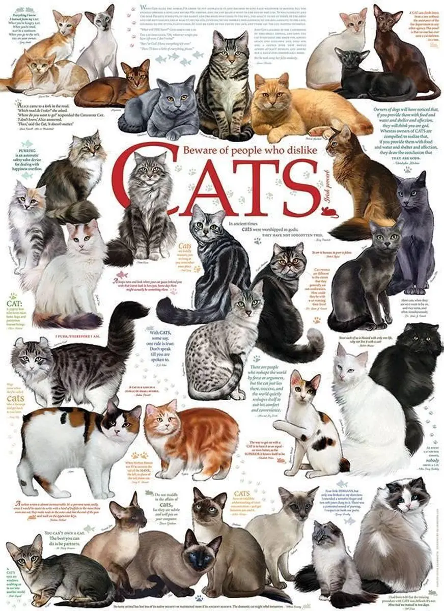 Katten Citaten