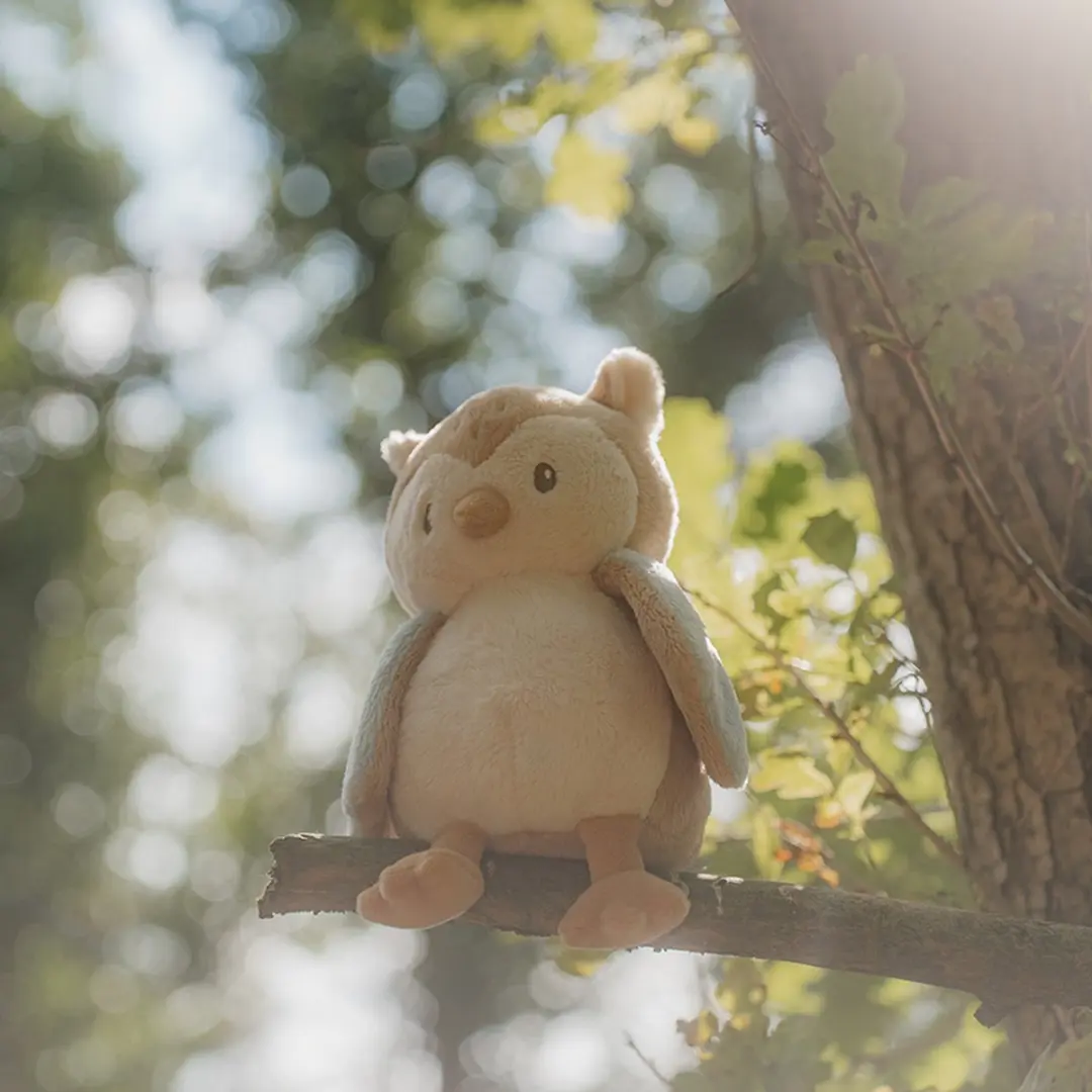 Little Dutch Knuffel Uil Forest Friends - Multicolor
