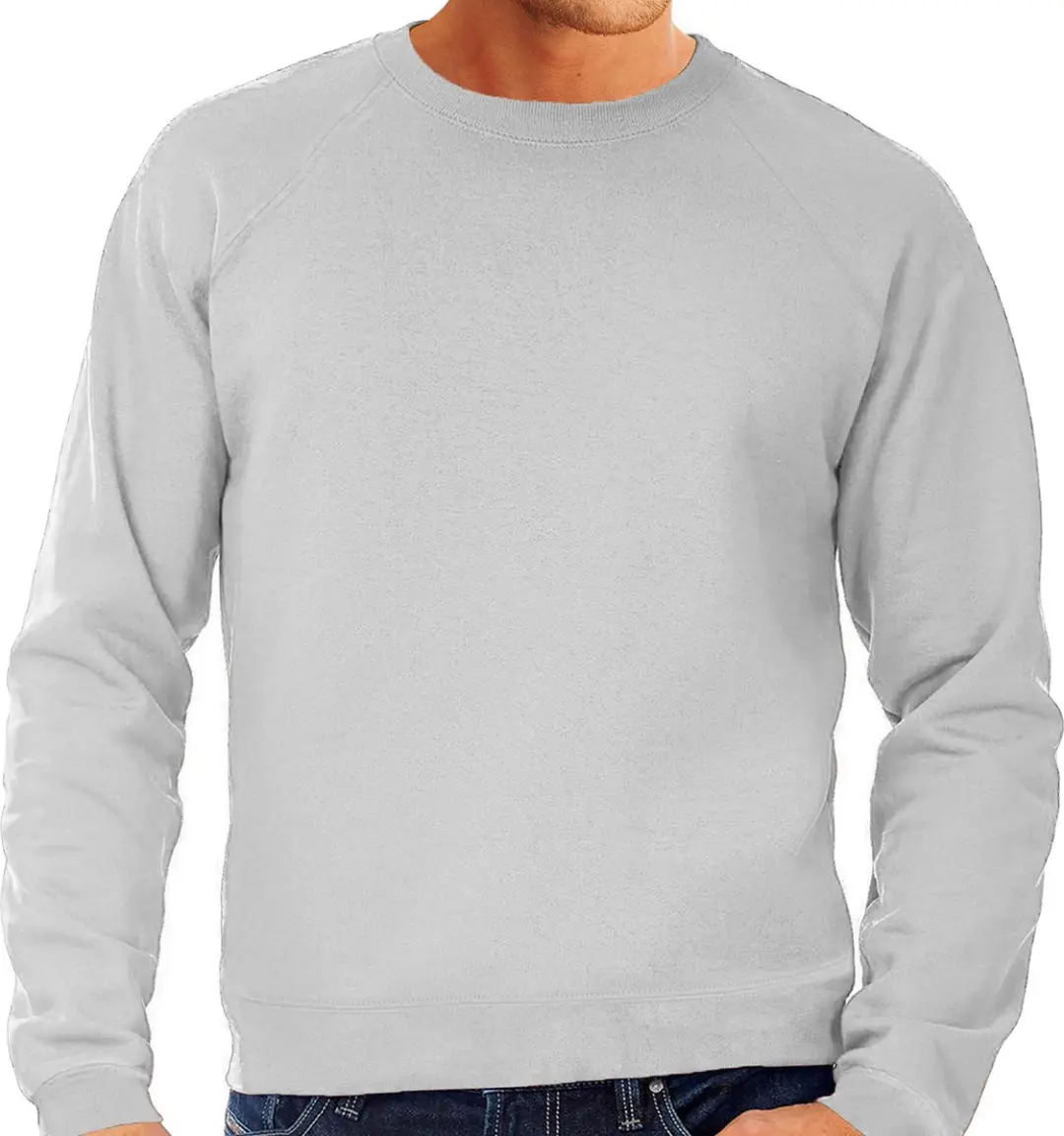 Fruit of the Loom sweater / sweatshirt