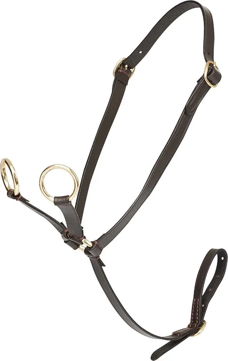 LeMieux Mini Toy Pony Martingaal Bruin