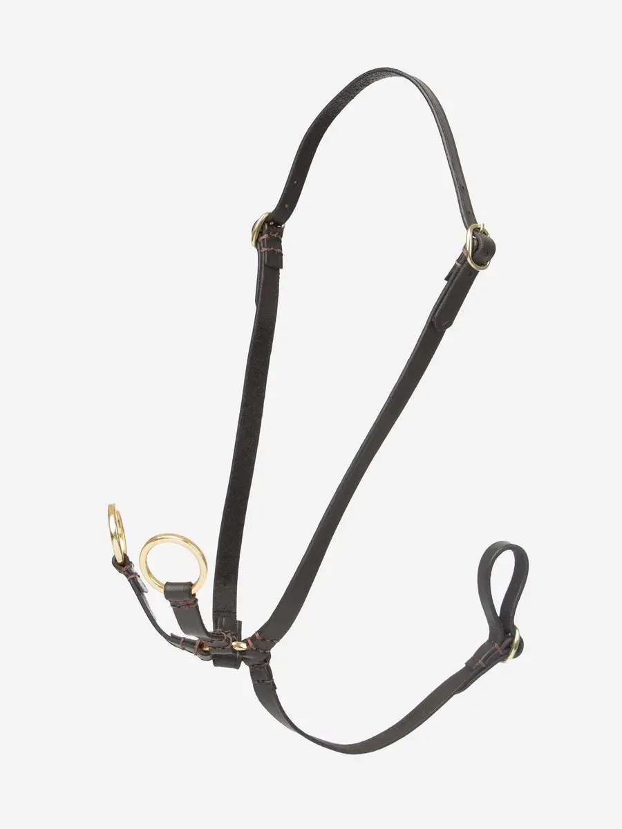 Lemieux Hobby Horse Running Martingale