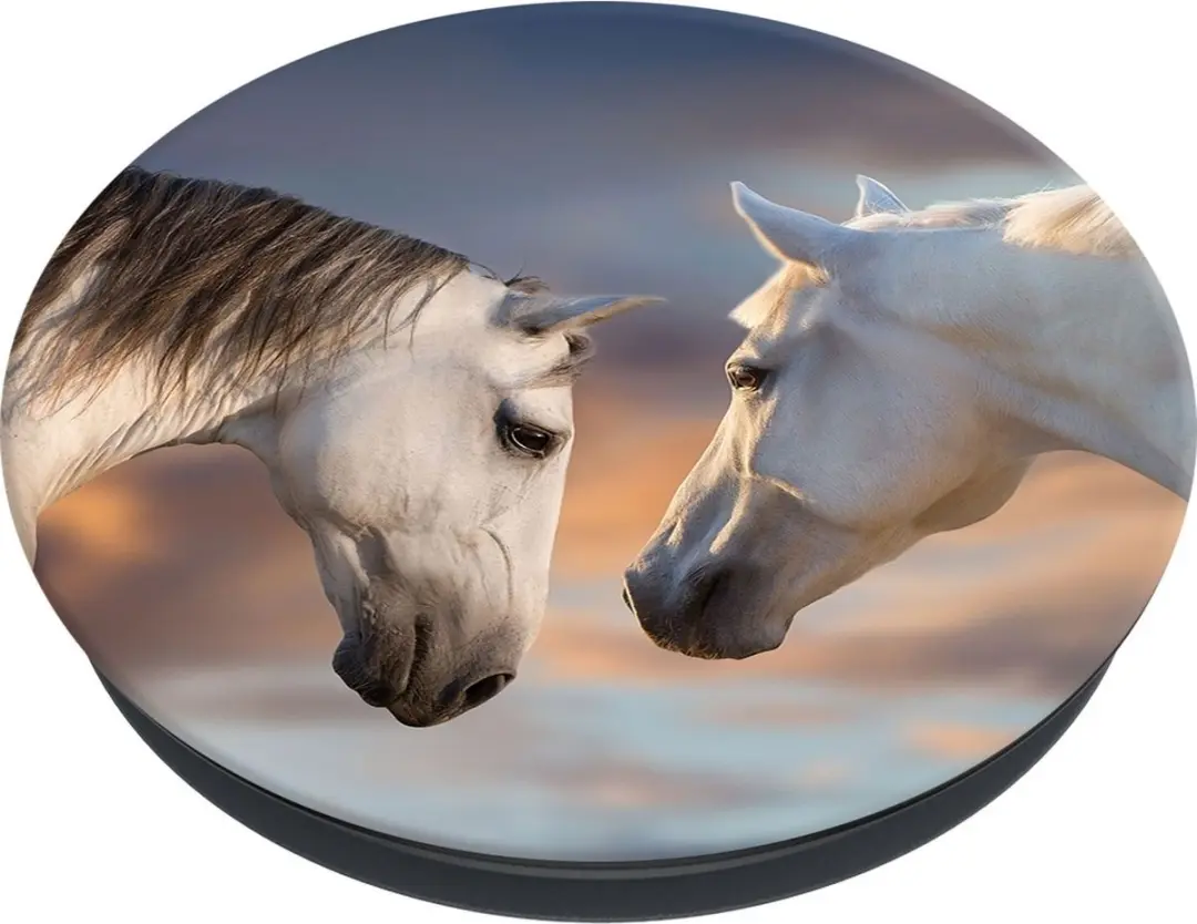 PopSockets PopGrip Basic PS-70080 - Meerkleurig - afbeelding 6 van 6