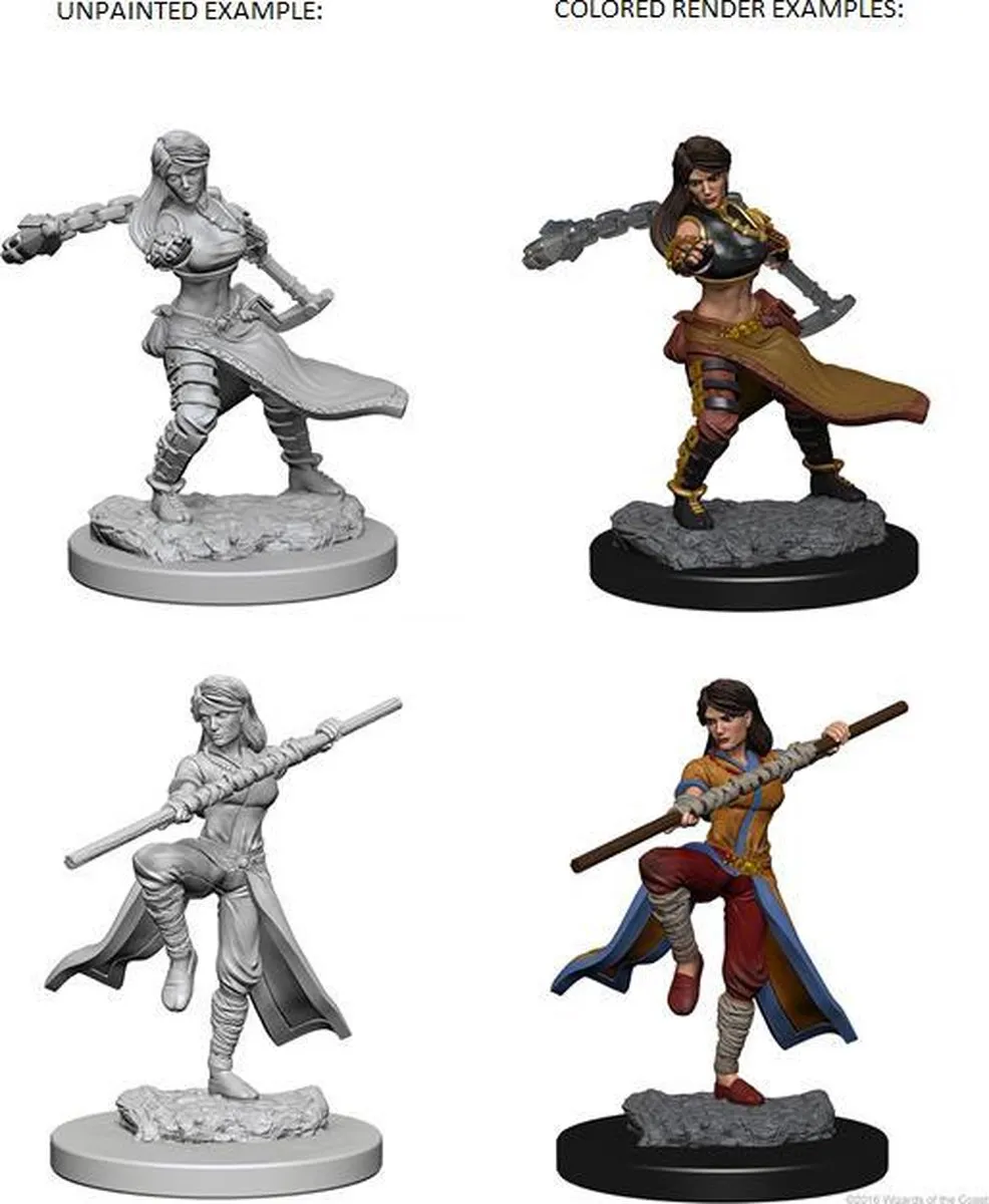 Asmodee D&D Nolzur's Marvelous Miniatures Human Monk Female