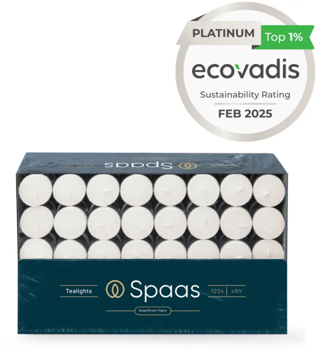 Spaas Theelichten Wit - 240 Stuks (2x120) - 6 Branduren