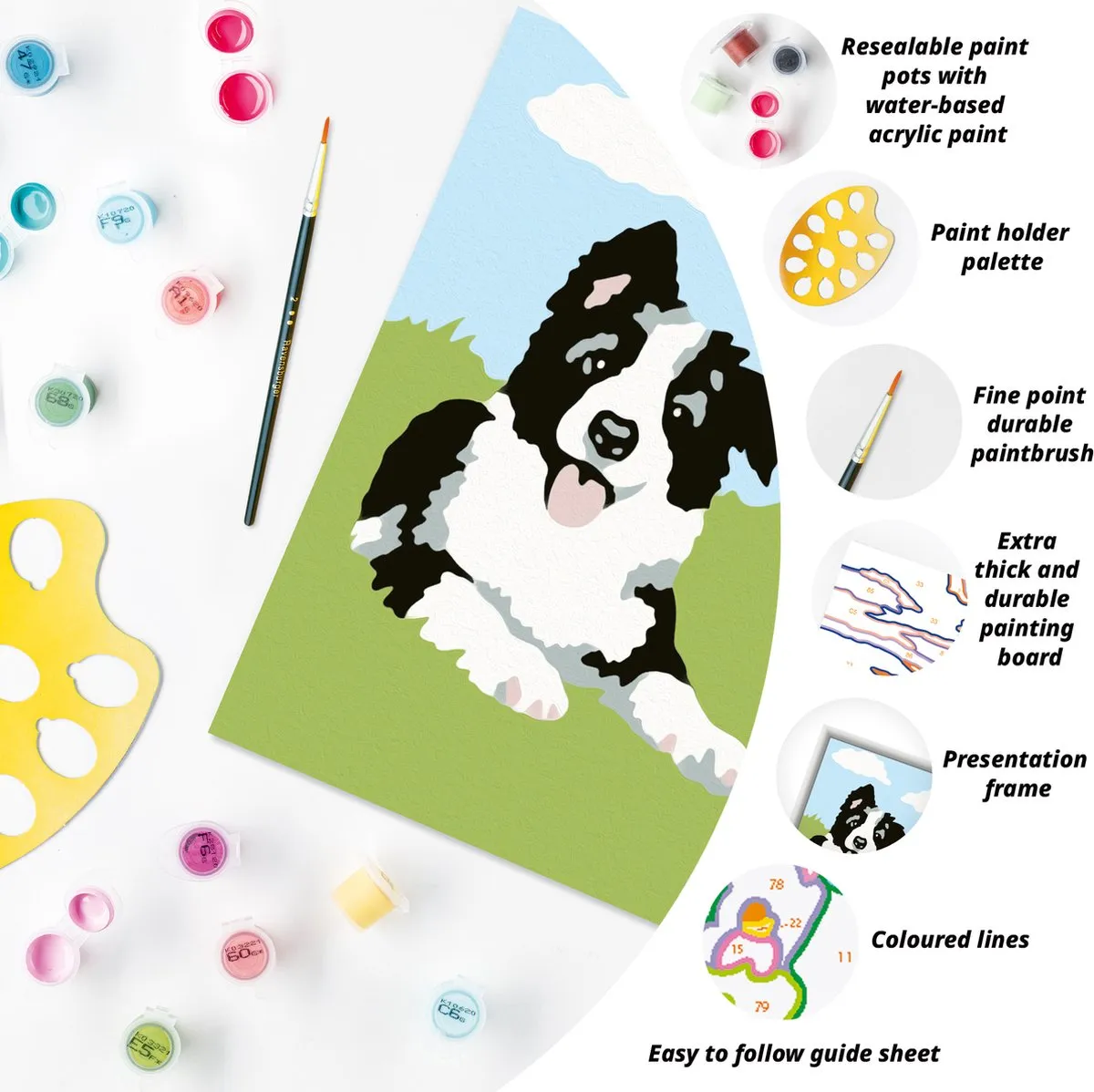 Ravensburger CreArt Border Collie Schilderen op nummer - Multicolor - 15 Kleuren