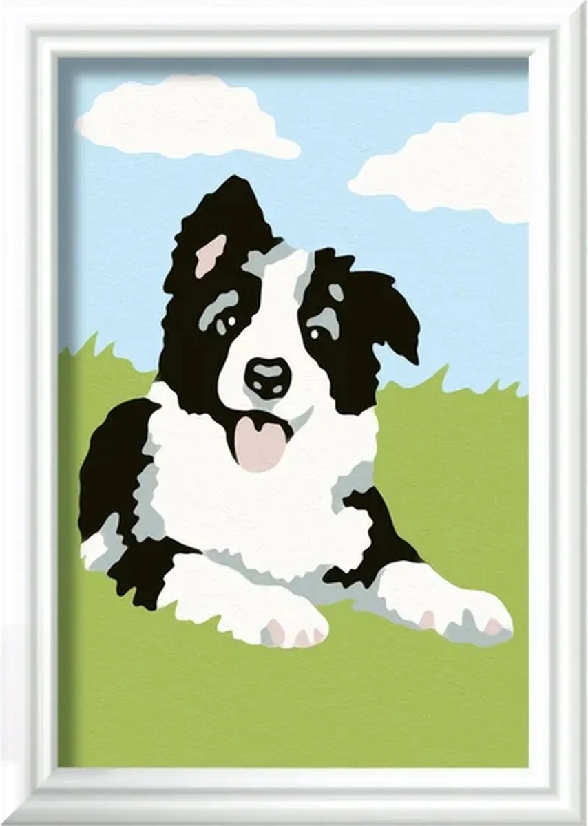 Ravensburger CreArt Border Collie Schilderen op nummer - Multicolor - 15 Kleuren