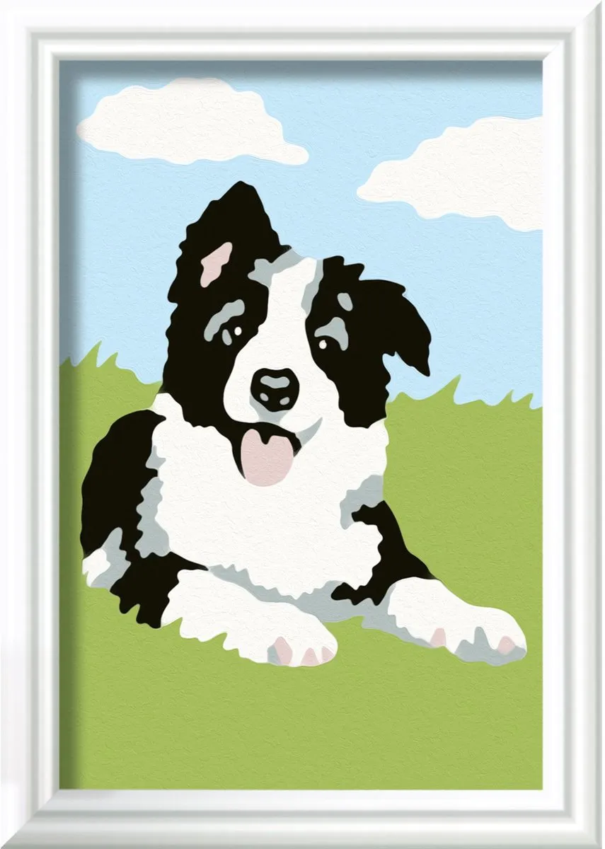 Ravensburger CreArt Border Collie Schilderen op nummer - Multicolor - 15 Kleuren