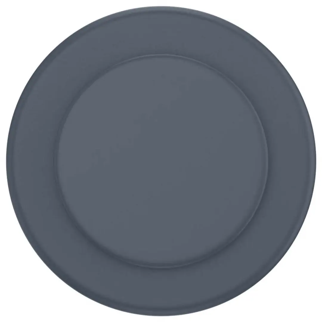 PopSockets PopGrip MagSafe Round POPS807490 - Blauw