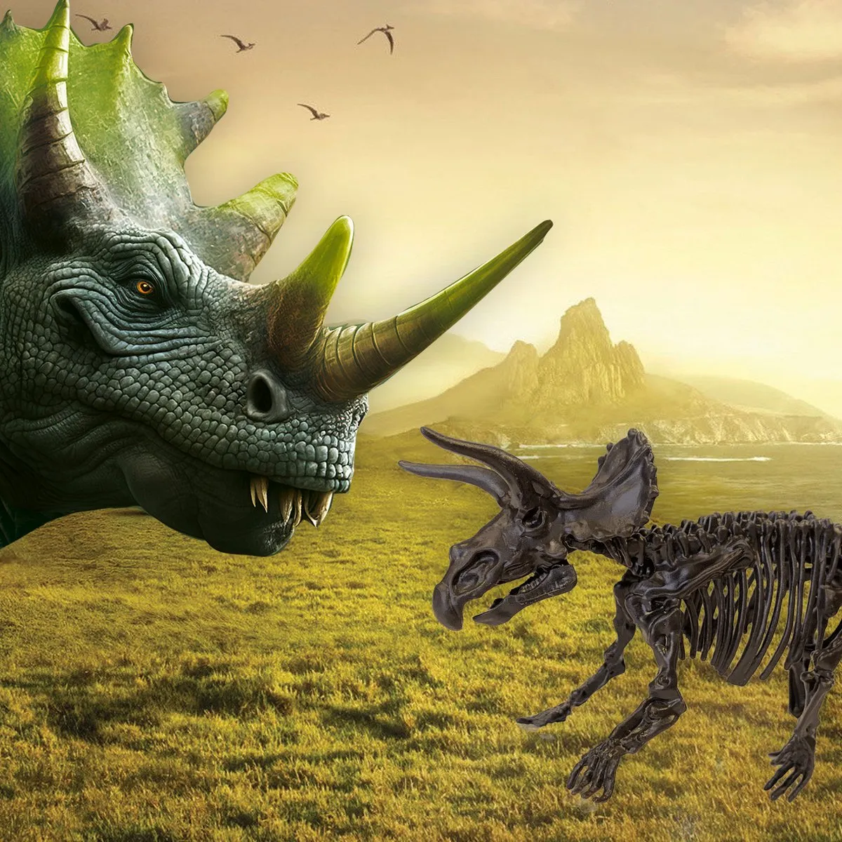 SES Creative Dino & Skelet Opgraven 2-in-1 Triceratops - Complete set