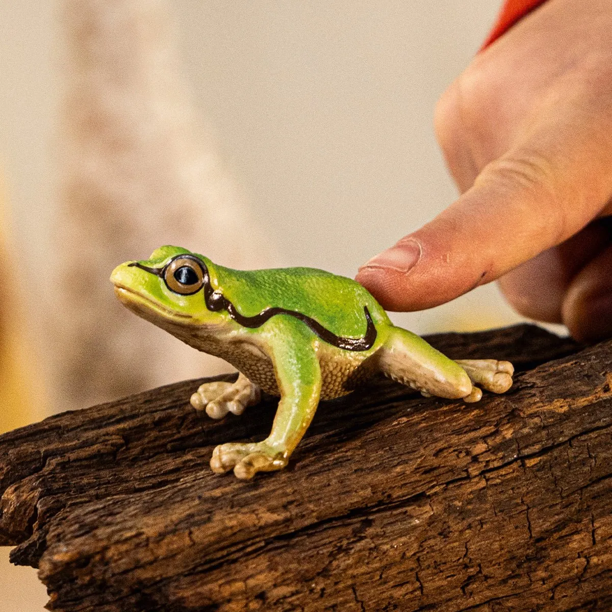 Schleich WILD LIFE Europese Boomkikker 14882 - Meerkleurig - afbeelding 6 van 6