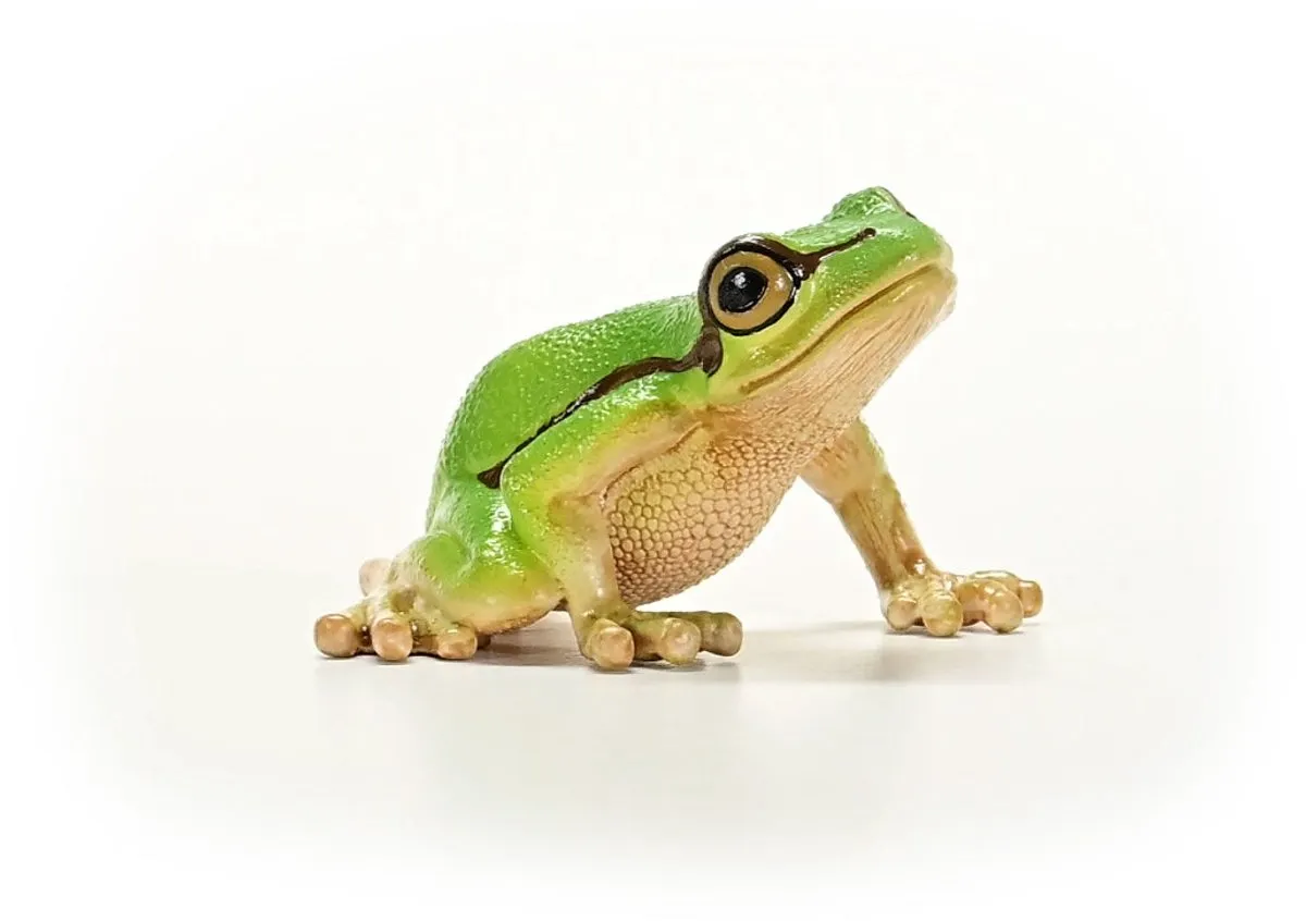 Schleich WILD LIFE Europese Boomkikker 14882 - Meerkleurig