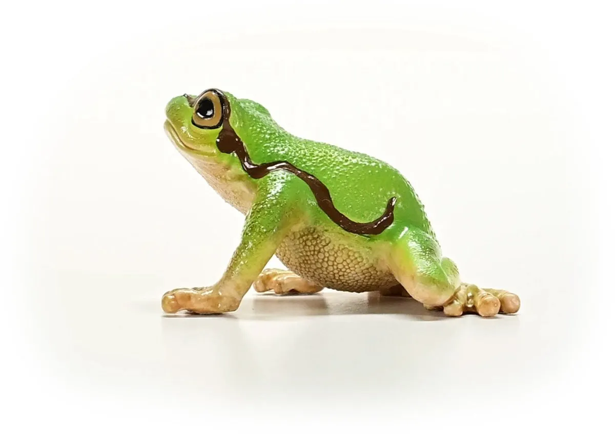 Schleich WILD LIFE Europese Boomkikker 14882 - Meerkleurig