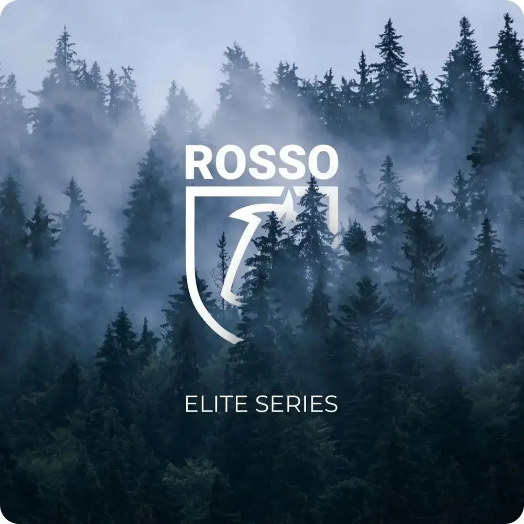Rosso Elite 207039 Hoesje iPhone 16/17 - Echt Leer Bruin - MagSafe